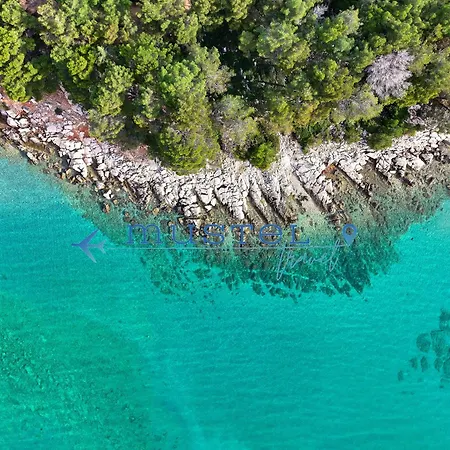 In Biograd * ביוגראד נה מורו